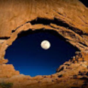 Meet your Posher, Cate